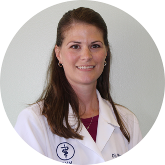 Dr. Brenda Taddeo DVM - Sully Animal Hospital - Centreville, VA