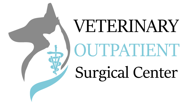 Veterinary Outpatient Surgical Center