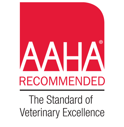 AAHA Logo AAHA Logo