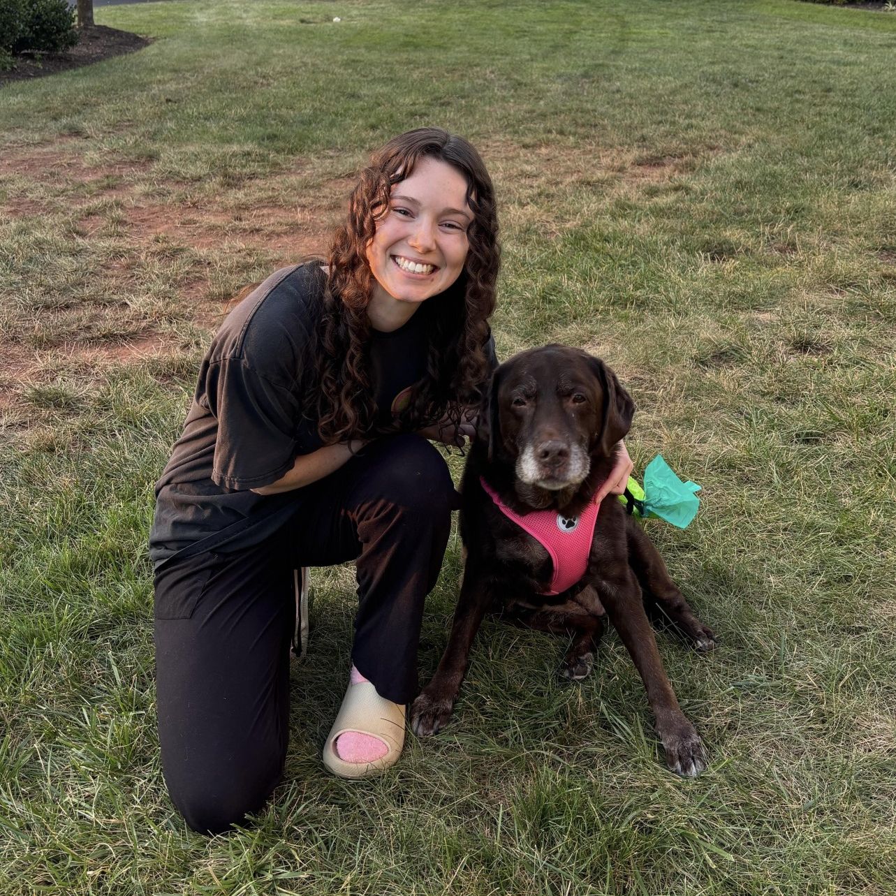 Alexa&nbsp;-&nbsp;Veterinary Receptionist